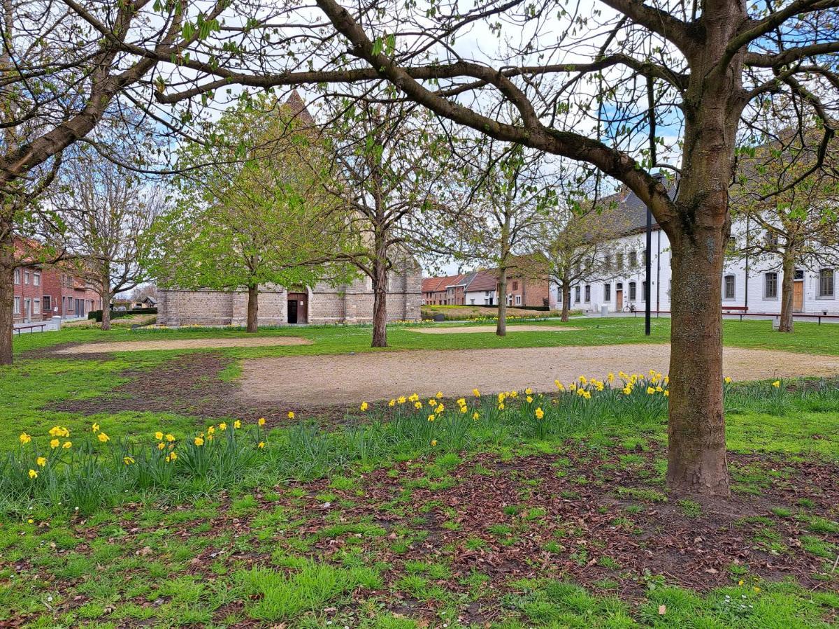 Begijnhof 54 Villa Sint-Truiden Buitenkant foto